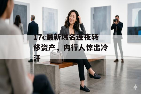 17c最新域名连夜转移资产，内行人惊出冷汗